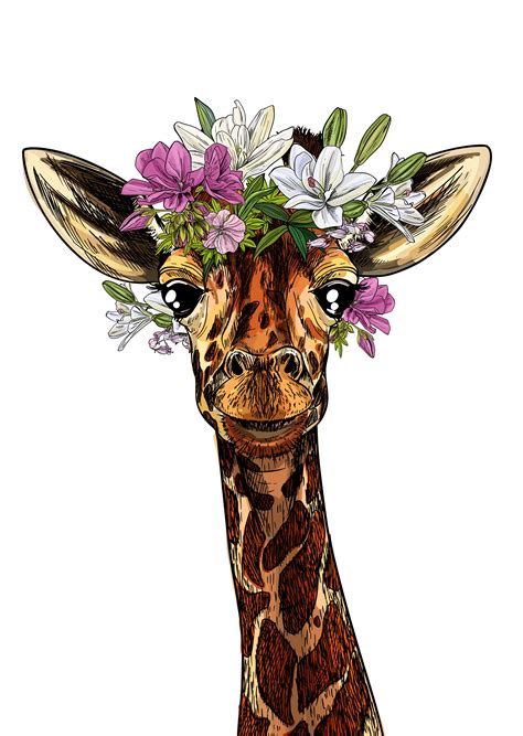 Giraffe Head Giraffe Art Cute Giraffe Giraffe Illustration Cute