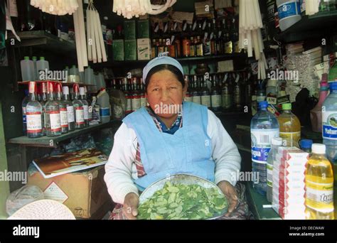 Coca Plant Bolivia Hi Res Stock Photography And Images Alamy