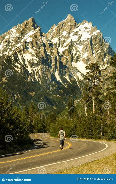 Estrada A Tetons Parque Nacional Grande De Teton Wyoming Foto De Stock