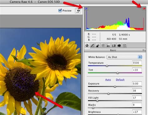 How To Edit Raw Photos In Adobe Camera Raw Adobe Camera Raw Raw