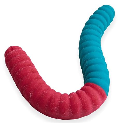 World S Largest Gummy Worm Neon Sour 2 Tone Cherry Blue Raspberry Blis Candynow Ca