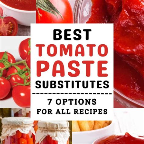 Tomato Paste Substitutes Savor Savvy