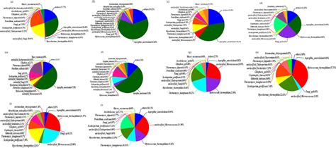 Pie Charts Illustrating The Relative Species Abundance Across Both