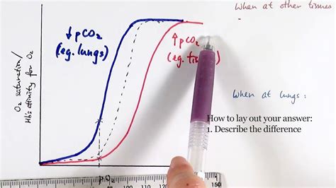 The Oxygen Dissociation Curve