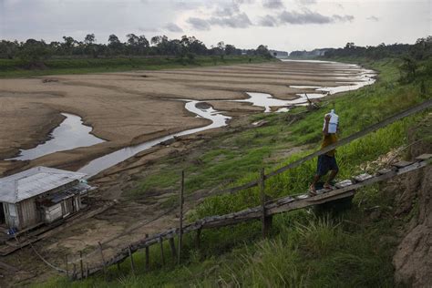 Seca na Amazônia faz rio desaparecer 13 10 2023 Ambiente Folha