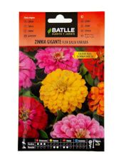 Venta De Semillas De Zinnia Gigante Flor De Dalia Batlle