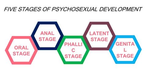 Human Development And Sigmund Freuds Stages Of Psychosexual Development Ppt