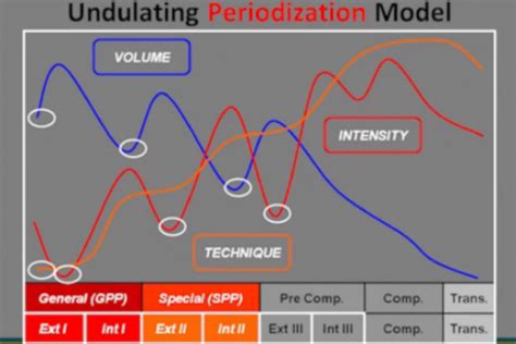 Periodization 301 Review Of Periodization Models GC Performance Training