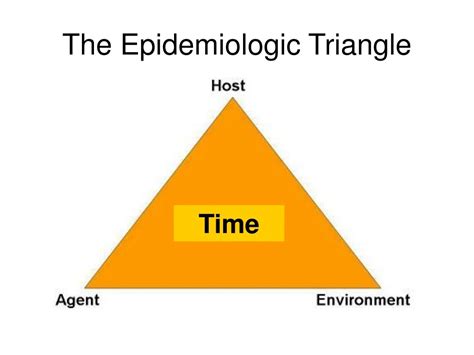 Ppt The Epidemiologic Triangle Powerpoint Presentation Free Download Id55113