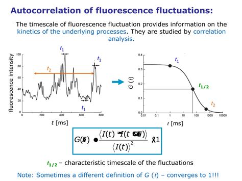 Ppt Fluorescence Microscopy Iii Fluorescence Correlation Spectroscopy Fcs Powerpoint