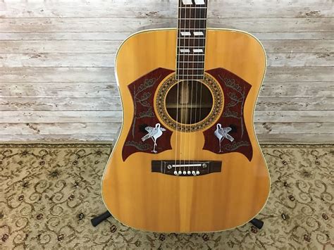 Used Ensenada Wg65 Acoustic Guitar Reverb Canada