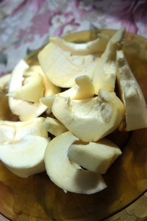 philippine trees   eat mabolo   added fuzz