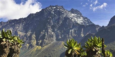 Rwenzori Mountains National Park | Amazing Gorilla Expedition