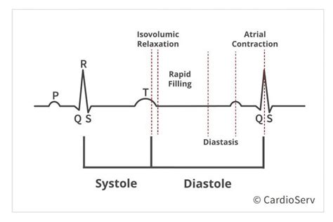 Understanding the Basics: Pathophysiology of Diastole | Understanding, Cardiac sonography, Basic