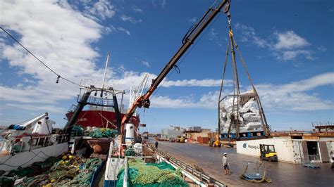 La Industria De La Pesca Ilegal En Malvinas Llora Por Las Co