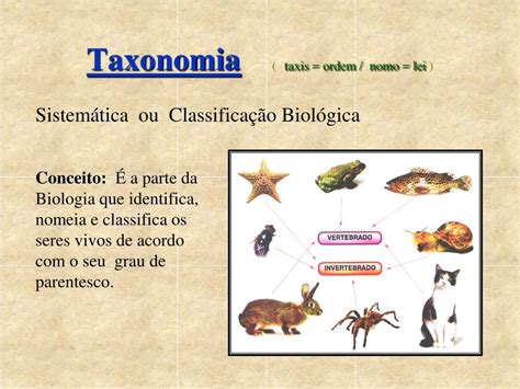 Ppt Classifica O Dos Seres Vivos S Rgio Moraes Powerpoint