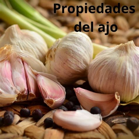 PROPIEDADES Y BENEFICIOS DEL AJO PARA LA SALUD DESCUBRE CÓMO ESTE