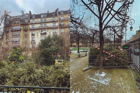 Où jeter son sapin de Noël Le Marais Mood