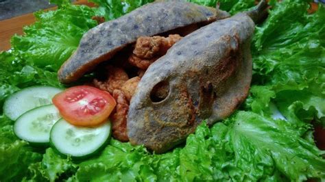 Begini Ternyata Ikan Yang Boleh Dimakan Penderita Kolesterol Dan Asam