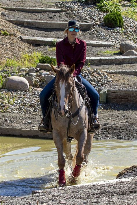 Clinton Anderson Method Trained Aphc Mare