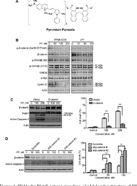 Figure From Anthelmintic Pyrvinium Pamoate Blocks Wnt Catenin And