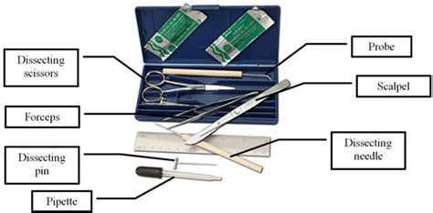 Marine Biologist Tools And Equipment