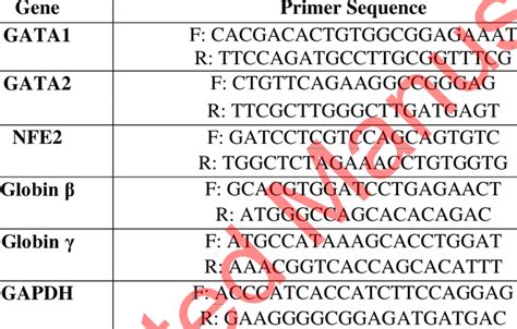 Primer sequences for Real-time polymerase chain reaction. | Download ...