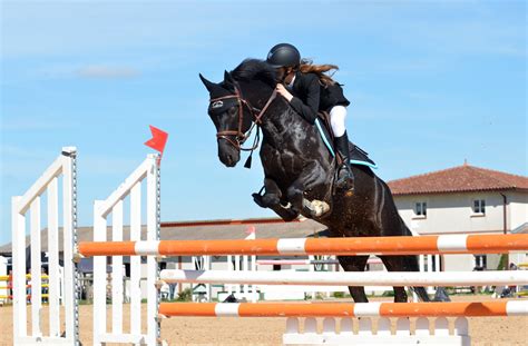 Images Gratuites La Personne Sport Des Loisirs Sauter Cheval