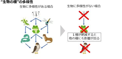 生物多様性とは？ 生物多様性わかものネットワーク