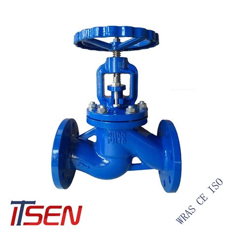 Din Pn Cast Ductile Iron Flange Endc Seal Control Diaphragm Flush