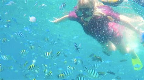 Tioman Snorkeling Trip Full In Depth Guide