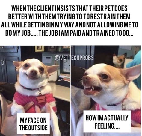 Veterinary Memes For The Big Hearted People Who Care For Our Animals