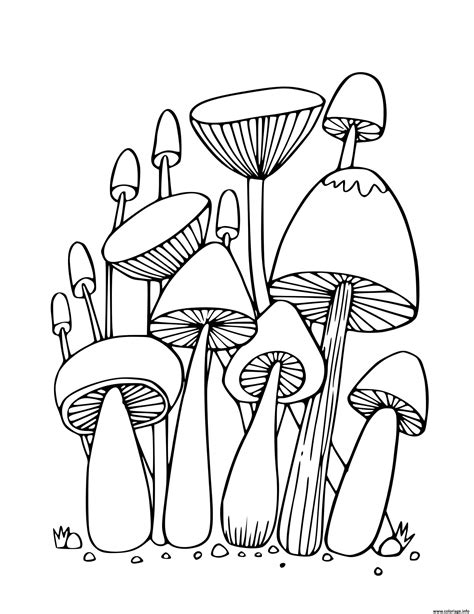 Coloriage Champignons De La Foret Dessin Champignon à imprimer