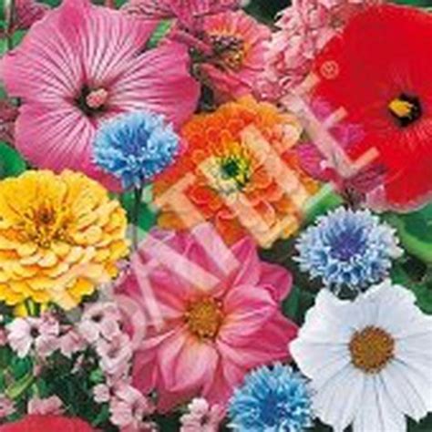 Sementes Mix Flores Sementes Para Flores Cortadas Flores Frescas Online