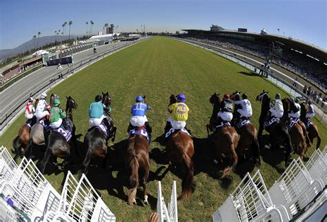 Source: 21st horse dies at Santa Anita racetrack