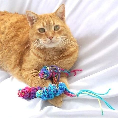 15 Free Crochet Cat Toy Patterns Best Free Patterns