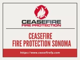 PPT Ceasefire HCFC 123 Clean Agent Gas Based Fire Extinguisher 6 Kg