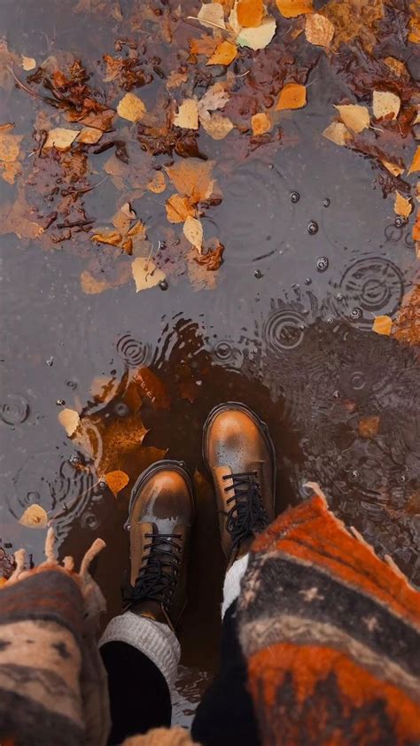 Осень эстетика сторис | Nature illustration, Autumn photography, Nature ...