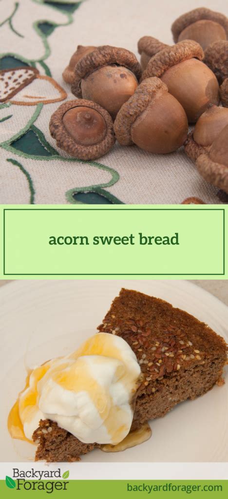 Dr. Nadia's Acorn Sweet Bread Recipe - Backyard Forager