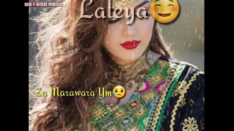 Status Line Pashto Zama De Meene Lewaniya Status Video Song