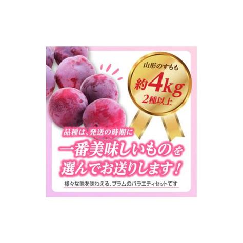 ふるさと納税 山形県 大江町 《先行予約》すもも（プラム）約4kg 2種以上【2024年8月中旬頃〜発送予定】【山形プラム・大江町産】 【001 076】 6128134 ふるさとチョイス