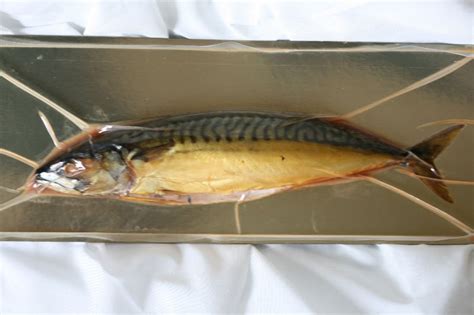 Smoked Mackreliceland Price Supplier 21food