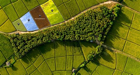 Satellite Imagery For Precision Farming Market Insights Status Global