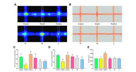 Effect Of CMRC CDs On MCPP Treated Mice In The EPM Test A Mean