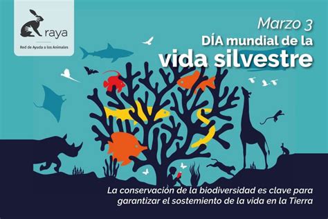 Día Mundial De La Vida Silvestre 2020 Raya Red De Ayuda A Los