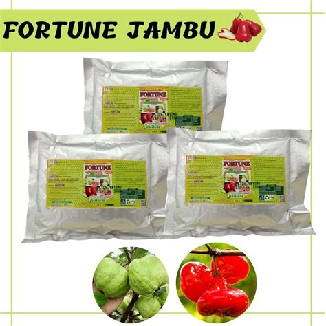 Jual Pupuk Buah Jambu Air Bisa Cod Pupuk Booster Boster Buah Jambu