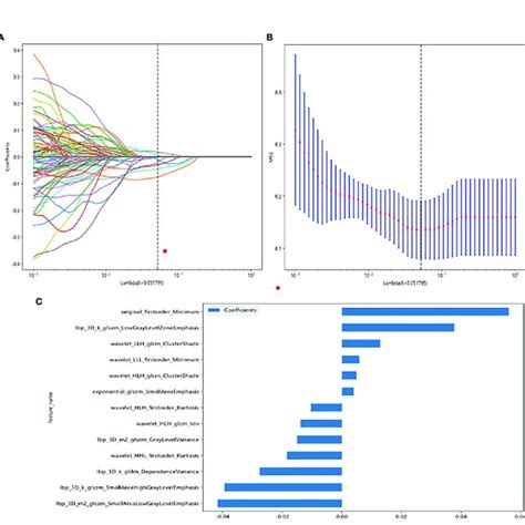 Radiomic Feature Selection Based On Lasso Algorithm And Rad Score Download Scientific Diagram