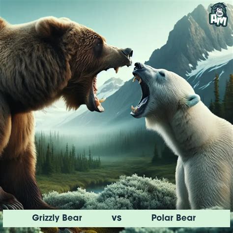 Grizzly Bear vs Polar Bear: See Who Wins | Animal Matchup