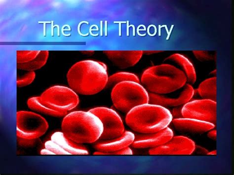 The Cell Theory Discovery of Cells 1665 English