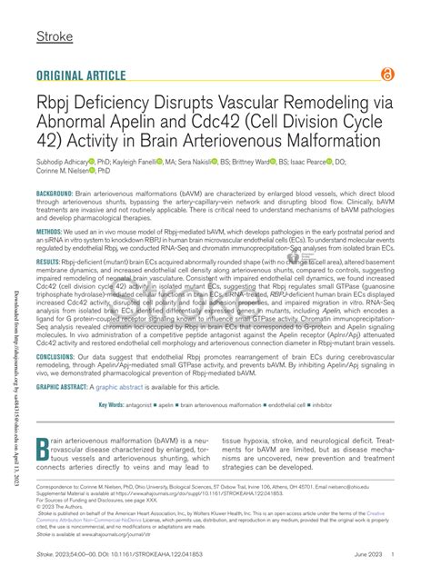 Pdf Rbpj Deficiency Disrupts Vascular Remodeling Via Abnormal Apelin